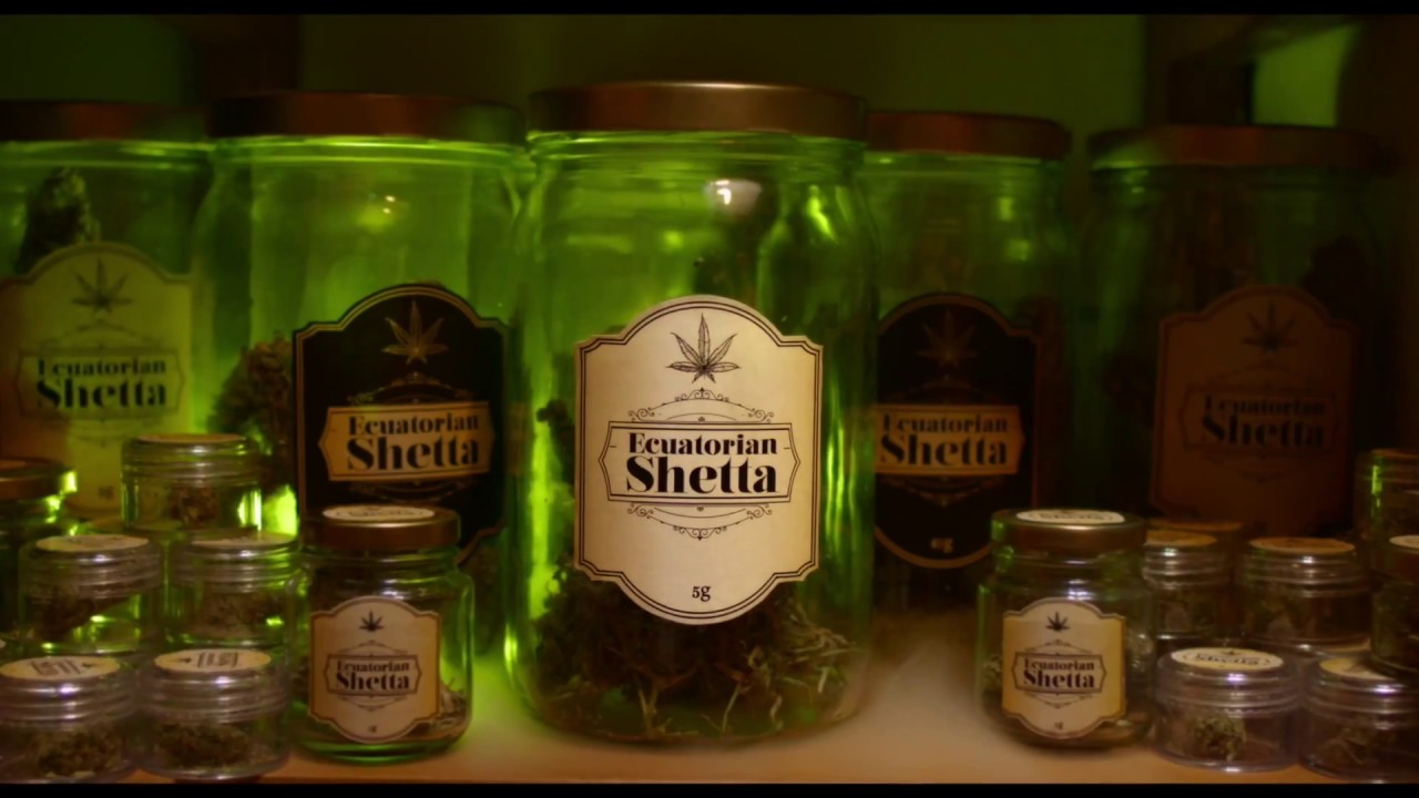 Ecuatorian Shetta