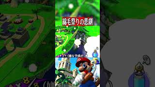 綿毛誘拐事件【マリオサンシャイン】
