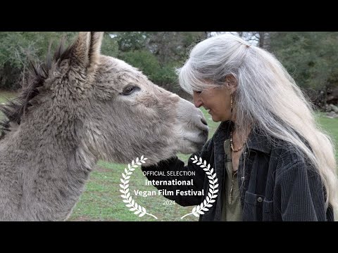 A Quest for Compassion