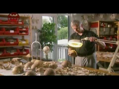 Welt Der Wunder Promo