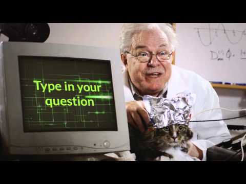 A miraculous cat that has a solution for every problem... meeooww...