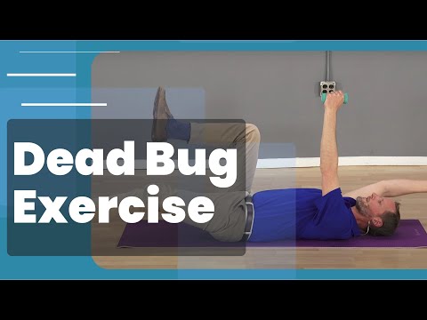 Dead Bug Core Exercise - 3 Progressions