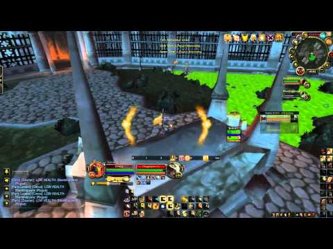 SaintNik - Holy Paladin 6.2 Arenas - Cirocx
