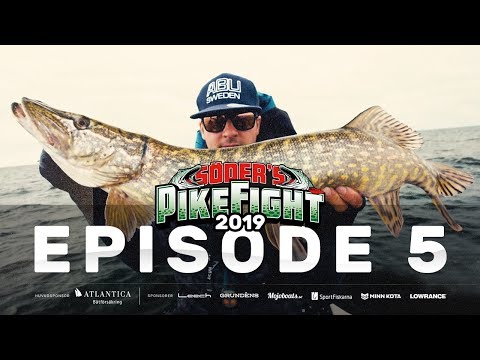 Pike Fight 2019 - Episode 5