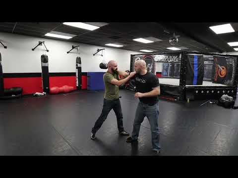 BJJ Black Belt and former UFC fighter show law enforcement control techniques.