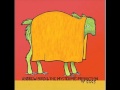 Andrew Bird - Measuring Cups