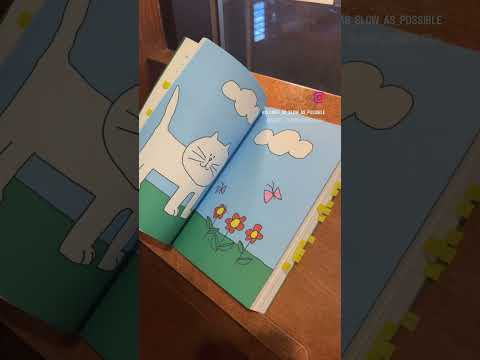 시간이 천천히 흐르는 공간에서 찾은 여유