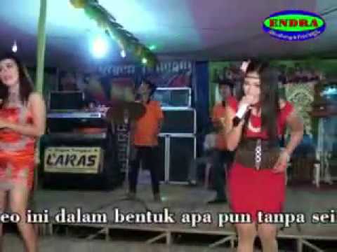 download lagu mp3 mp4 Lagu Dangdut Kucing Hitam, download lagu Lagu Dangdut Kucing Hitam gratis, unduh video klip Lagu Dangdut Kucing Hitam