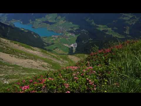 And What About th eMasculine? #3 in "Peace Talks" #5