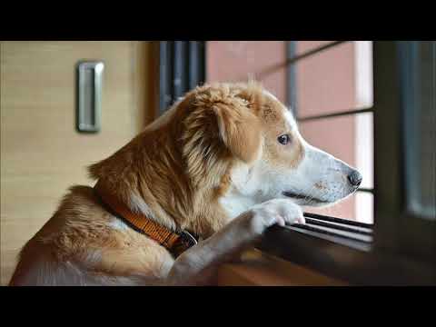 Warten - Zwischen Himmelfahrt und Pfingsten - Friederike Töpelmann, Predigt  Exaudi 2020