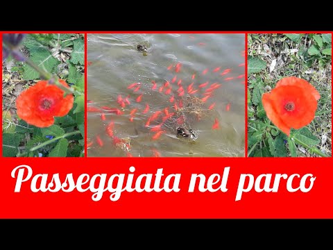 134) Ultimo passeggiata nel parco prima di volare a casa 🔴 ПРОГУЛКА В ПАРКЕ ПЕРЕД ВЫЛЕТОМ ДОМОЙ