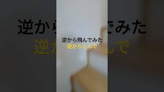 流行りのやつを逆から飛んでみた