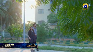 Shikanja Episode 31 Promo | Tonight at 7:00 PM only on Har Pal Geo