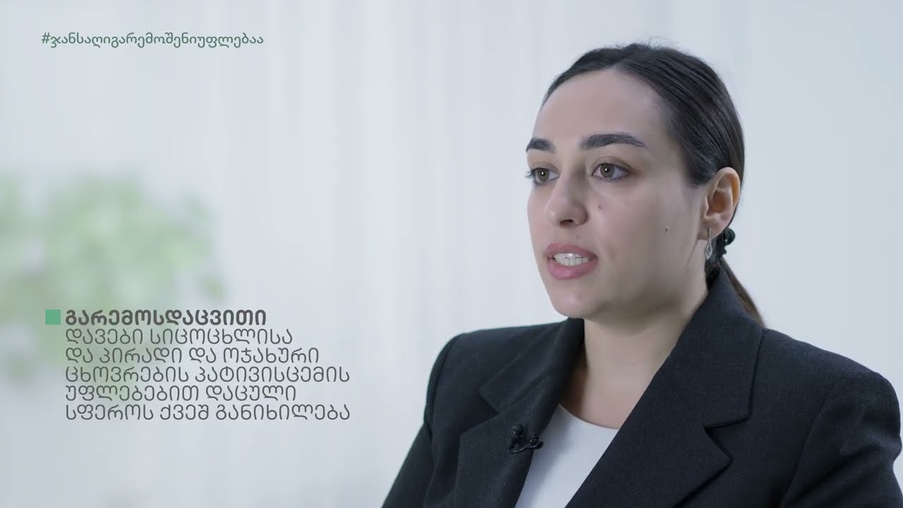 10 - მართლმსაჯულებაზე ხელმისაწვდომობა | Access to Justice