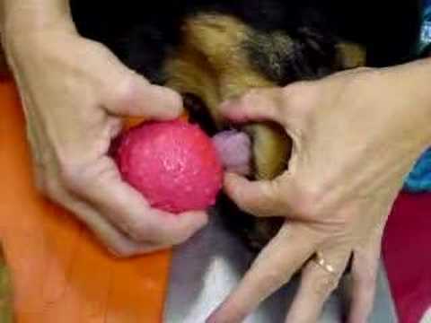 youtube image
