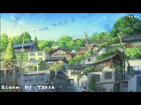 Bloom Of Youth - 清水淳一