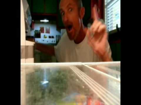 Film Tom Neville.wmv