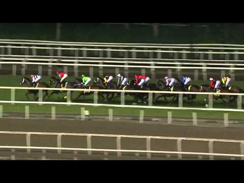 Shamardal's Dan Excel wins the G1 Singapore Airlines International Cup