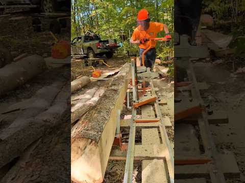 Norwood Sawmills PM14