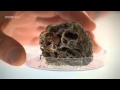 Planet Ant - Life Inside The Colony - BBC - YouTube