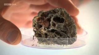 Planet Ant - Life Inside The Colony - BBC