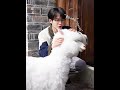 The cute alpaca is irresistibly drawn to him🥰 #滤镜 #Filter #檀健次 #TanJianci