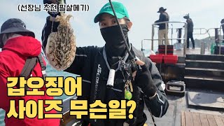 초보자도 잡을 수 있는 신발 사이즈 갑이 나온다고?🦑ㅣ갑오징어 전투배 선장님이 추천해준 처음 보는 에기ㅣ대물들만 골라잡는 비결은? | 자매낚시 정자매 | 태안 마검포항 신출항호🛥️