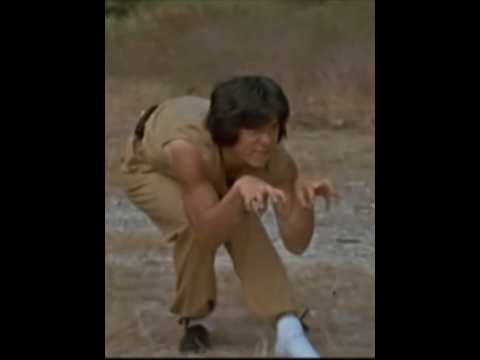 “Cat Fight”! In Snake in the Eagle's Shadow 1978 with Jackie Chan & Director Woo-Ping Yuen #cat