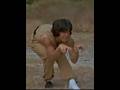 Cat Fight In Snake In The Eagle S Shadow 1978 With Jackie Chan Director Woo Ping Yuen Cat