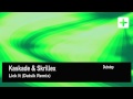 Kaskade & Skrillex -Lick It (Datsik Remix)