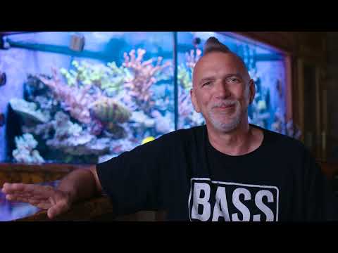 Reef Systems Coral Farm Daren's Story