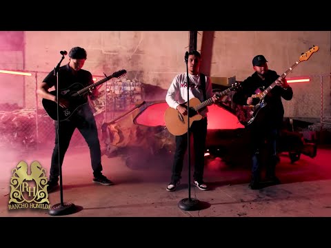 Gerencia Humilde - Colmillo de Valiente (En Vivo)