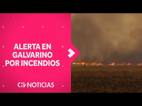 ALERTA EN GALVARINO por incendios: Llaman se acercan a las casas - CHV Noticias