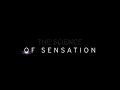 THX The Science Of Sensation UK VHS Pitch