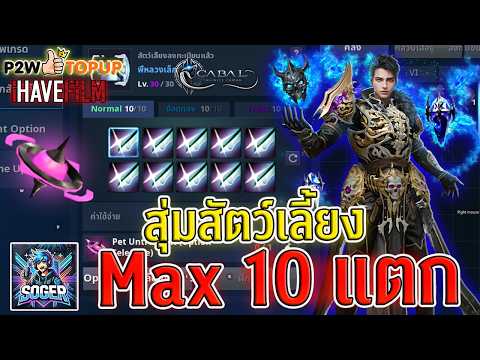 Cabal Infinite Combo : สัตว์เลี้ยง Max rate 10 แตก! สานฝันวัยเด็ก🐱‍🏍