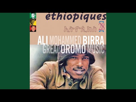 Éthiopiques 28: Great Oromo Music