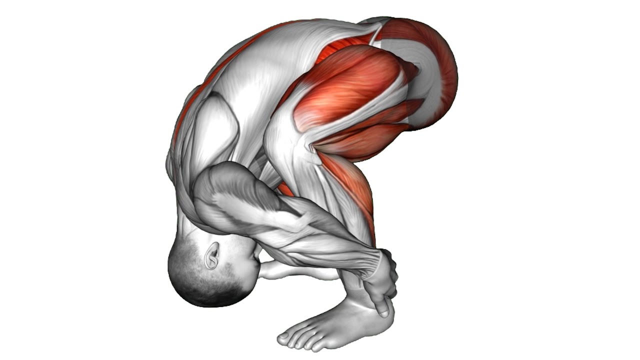 Higher! Hidden Exercises You Should Do Every Day