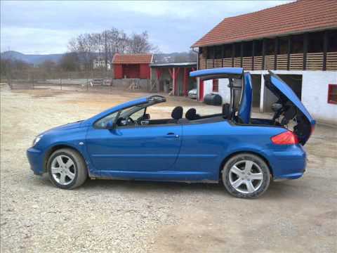 G-Gold ArmY ( Fifty ft Master.G & Lepac) U Mush Thesi Diss Raporter