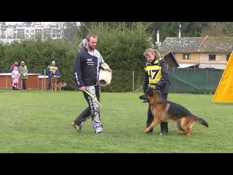 Svod NO 2017 - Christo Zdekra