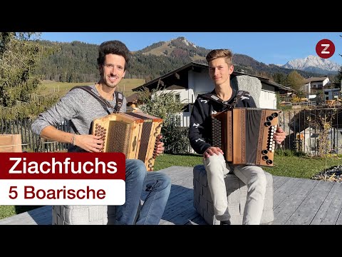 Ziachfuchs - 5 Boarische