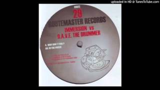 Immersion - Why Don't You?
