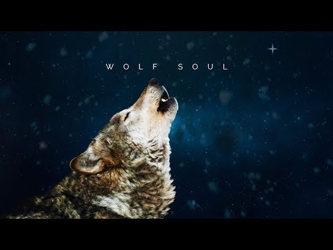 Wolf Bufi Soul
