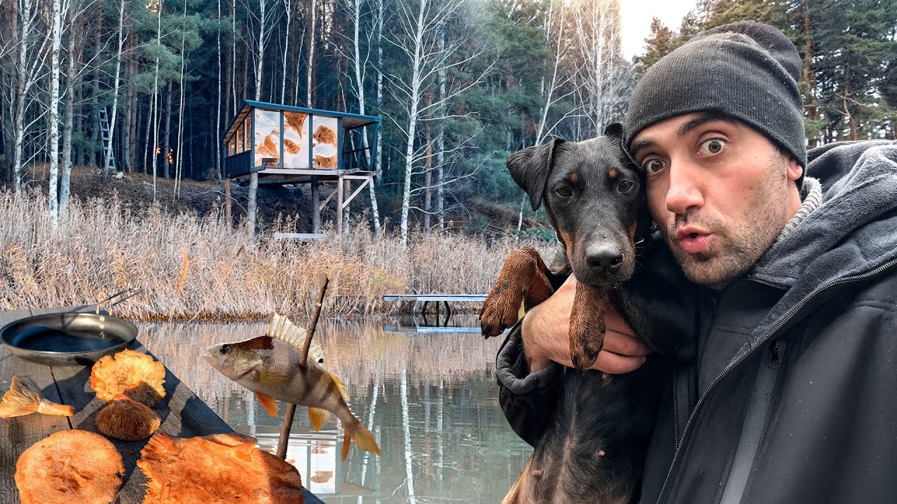 Дом на дереве! Поставил сеть Нашел редкие грибы рыжики с Мартой и Беном