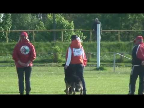 Djek Junior IPO-1 (B)