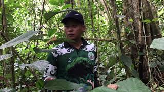 Download lagu DESA LONG KEMUAT KEC.BAHAU HULU KAB.MALINAU PROV. KALIMANTAN UTARA #FORCLIME-FC mp3 Download lagu DESA LONG KEMUAT KEC.BAHAU HULU KAB.MALINAU PROV. KALIMANTAN UTARA #FORCLIME-FC mp3
