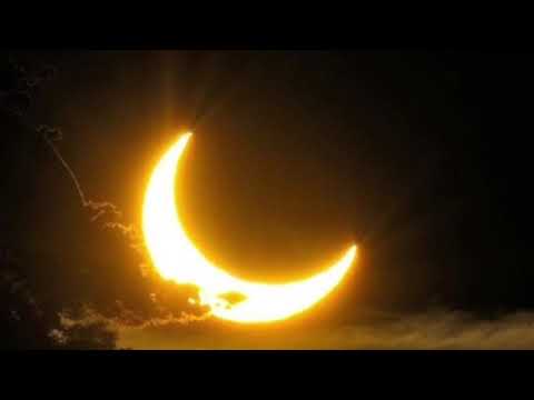 Stars fell on Alabama /1934