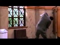 LiarLiar Video