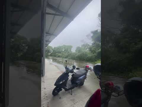 新北市五股區廠房 第1張共4張
