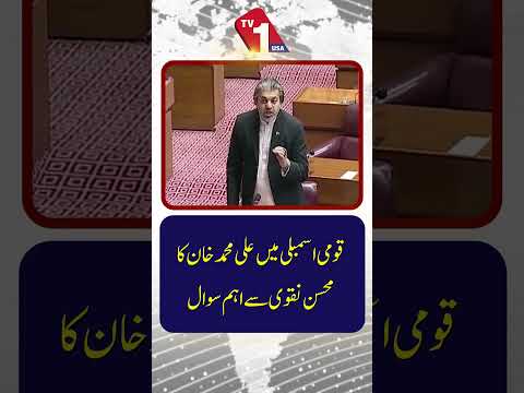 علی محمد خان نے قومی اسمبلی میں محسن نقوی سے اہم سوال اٹھایا۔