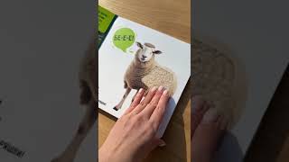Тактильно-звуковая познавательная книжка. На ферме